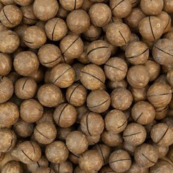 تصویر فندق ماکادمیا ۵۰۰ گرم 