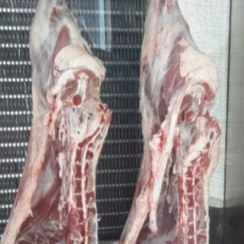 تصویر شقه ی گوسفندی ممتاز 