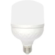 تصویر لامپ LED ایران زمین مدل استوانه ای ۶۵ وات نور مهتابی 