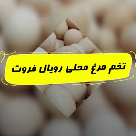 تصویر تخم مرغ محلی 