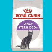 تصویر غذا خشک گربه رویال کنین گربه عقیم شده ( royal canin sterilised dry cat food) - 0.5 نیم کیلو گرم 