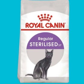 تصویر غذا خشک گربه رویال کنین گربه عقیم شده ( royal canin sterilised dry cat food) - 0.5 نیم کیلو گرم 