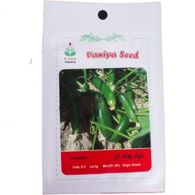 تصویر بذر خیار بوته ای 