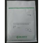 تصویر بذر گل عروس سفید ژیپسوفیلا همزادن هلند 