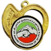 تصویر مدال قهرمانی ووشو 