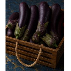 تصویر میوه مصنوعی بادمجون درجه یک وارداتی (سنگین و باکیفیت) 