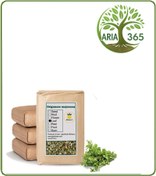 تصویر مرزنجوش یزدی خشک فله 