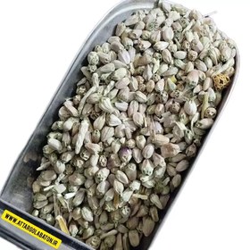 تصویر تخم کنگر(150 گرم) ـ عطار گلابتون thistle seeds