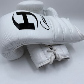 تصویر دستکش بوکس 