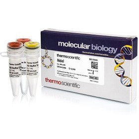 تصویر NdeI (10 U/µL) 