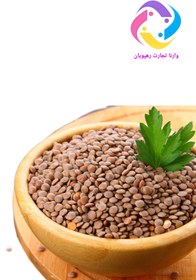 تصویر عدس ریز 