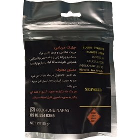 تصویر جلبک دریایی Seaweed