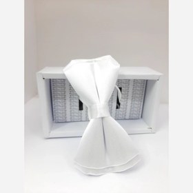 تصویر پاپیون سفید ساده 