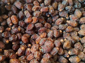 تصویر خرما خاصویی 