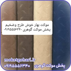 تصویر موکت بهار همدان 