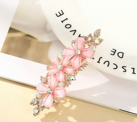 تصویر گیره فرانسوی مجلسی 