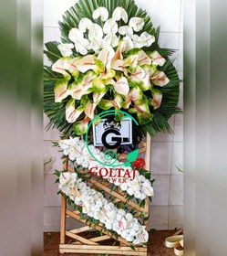 تصویر تاج گل مهربان 