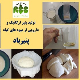 تصویر پنیرباد یا مایه ماست و پنیر گیاهی (500 گرمی) 