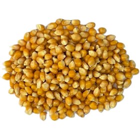 تصویر ذرت یک کیلو 