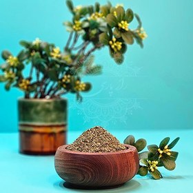 تصویر نعناع خشک 