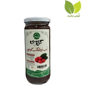 تصویر رب زرشک کوهی ارگانیک 600گرم گل باغ سی Gol Bagh Si organic wild barberry paste 600g