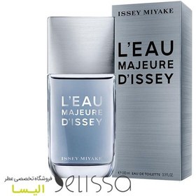 Issey Miyake L