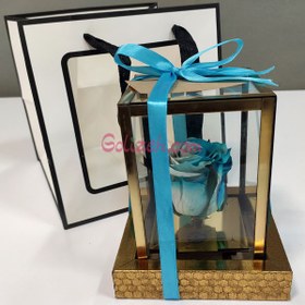 تصویر رز جاودان آبی سفید 