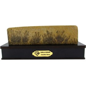 تصویر سنگ شجر فسیلی (دندریتی ) کد 2595 