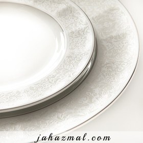 تصویر سرویس غذاخوری چینی زرین ایران مدل دلسا ۲۹ پارچه مناسب ۶ نفر 