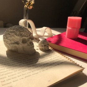 تصویر قالب جمجمه 