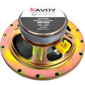 تصویر بلندگو ساووی مدل SV-651 فابریکی پژو SAVOY SPEAKER SV-651 FOR PEUGEOT 