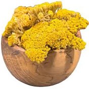 تصویر بومادران سرشاخه گلدار معطر ضدعفونت و ضداسپاسم و التیام‌بخش زخم گیاه دارو Achillea millefolium fragrant flowering tops anti-infection & anti-spasm & wound healing giyahdaro