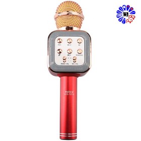 تصویر میکروفون و اسپیکر WSTER WS-1818 