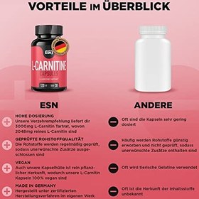 l carnitina qual melhor horario para tomar L-Carnitina 2.300 Líquida com Coenzima Q10 480ml - Fisionutri - Fisionutri  Brasil