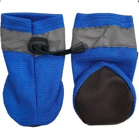 تصویر پاپوش سگ و گربه 