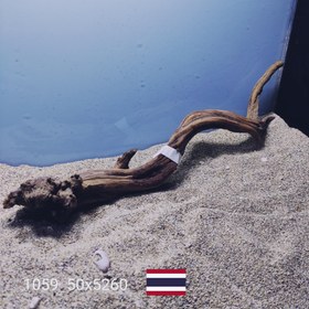 تصویر ریشه آبنوس کد1059 ارسال این ریشه رایگان می باشد