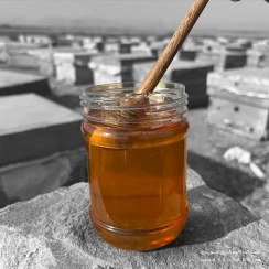تصویر عسل محرمانه صاف شده - ارگانیک - وزن-خالص: دو کیلویــی + ضمانت اصالت 