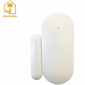 تصویر مگنت دزدگیر هوشمند تویا 