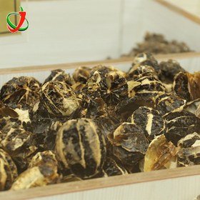 تصویر لیموتوپی 