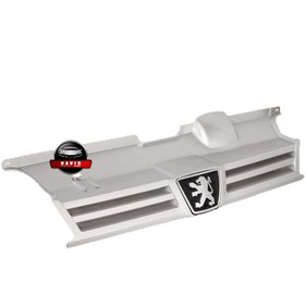 تصویر جلو پنجره پژو ۴۰۵ رنگی 