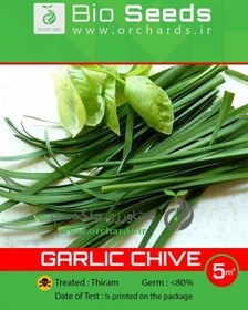 تصویر بذر تره Bio Seeds 