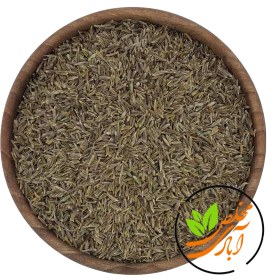 تصویر زیره سبز دان 