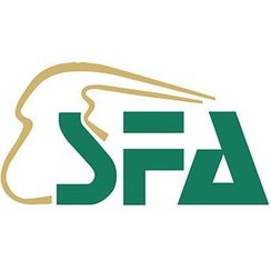 تصویر عطر گرمی (اسانس روغنی) سیگنورینا زنانه Signorina Perfume Oil