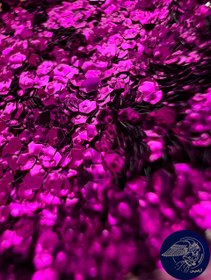 تصویر پولکی 