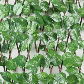 تصویر دیوار سبز آکاردئونی 