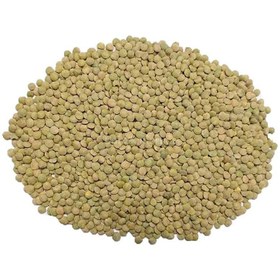 تصویر عدس خارجی فله 5 کیلویی 