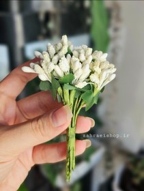 تصویر پرچم گلسازی 