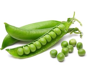 تصویر نخود فرنگی 