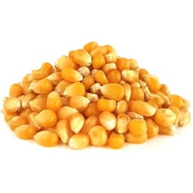 تصویر ذرت اعلا 