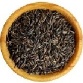 تصویر دانه نیجر 